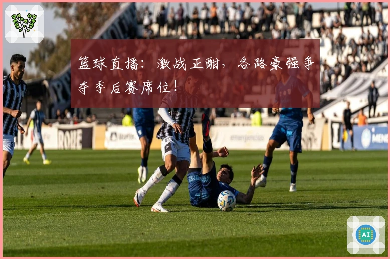 篮球直播：激战正酣，各路豪强争夺季后赛席位！